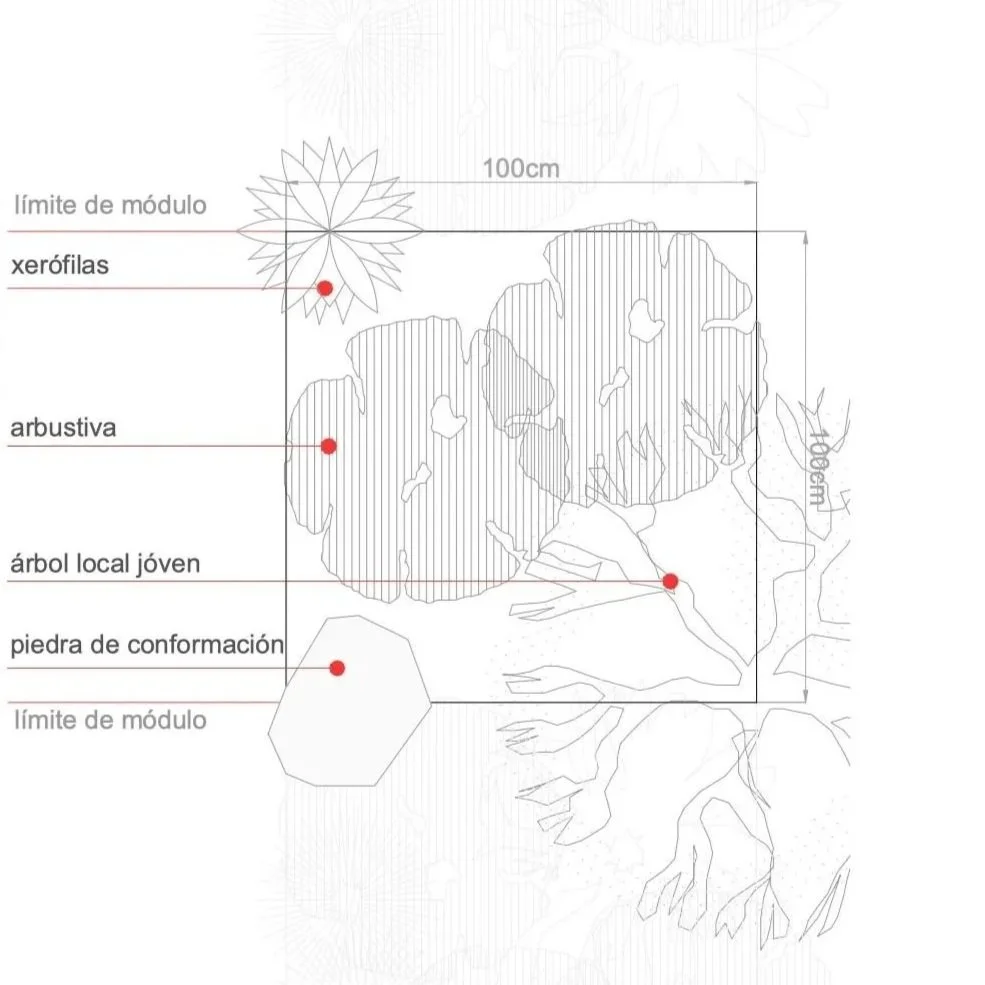 mod.%2Bplantacio%25CC%2581n%2B1.jpg
