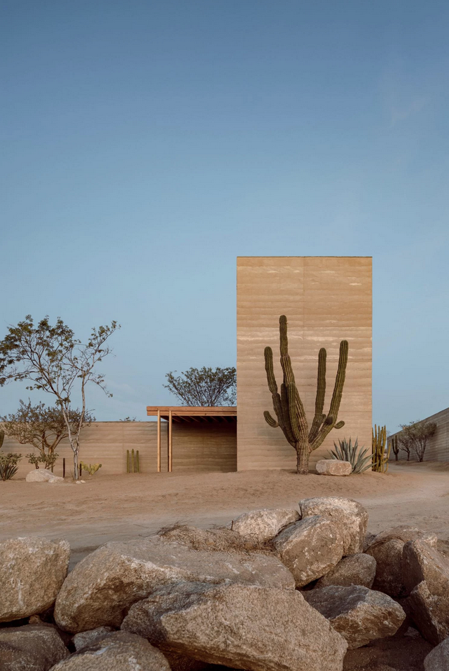 A modern building with a desert landscape, featuring cacti, rocks, and a clear blue sky.