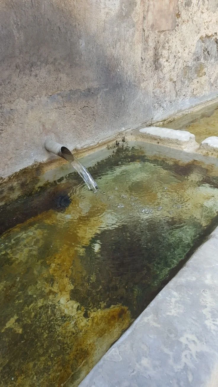 Captación y aprovechamiento de agua pluvial