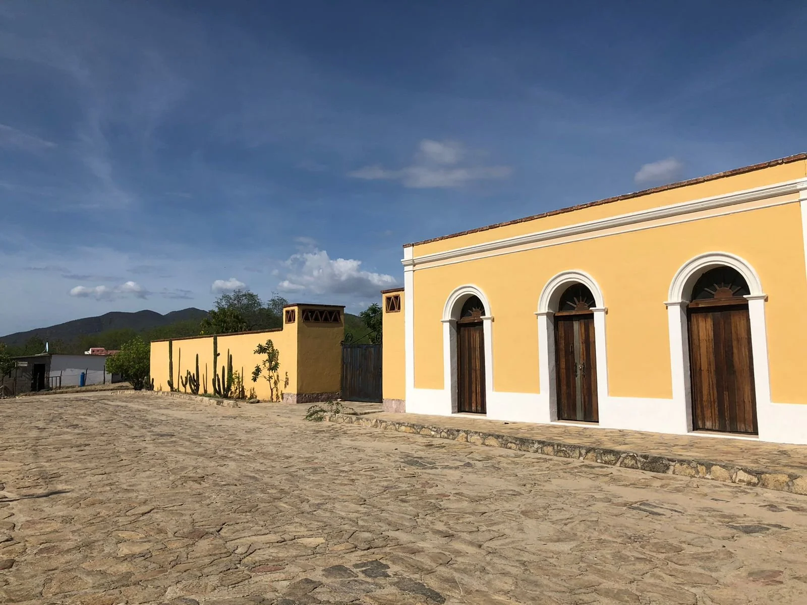 WhatsApp Image 2021-07-13 at 9.07.10 PM.jpeg