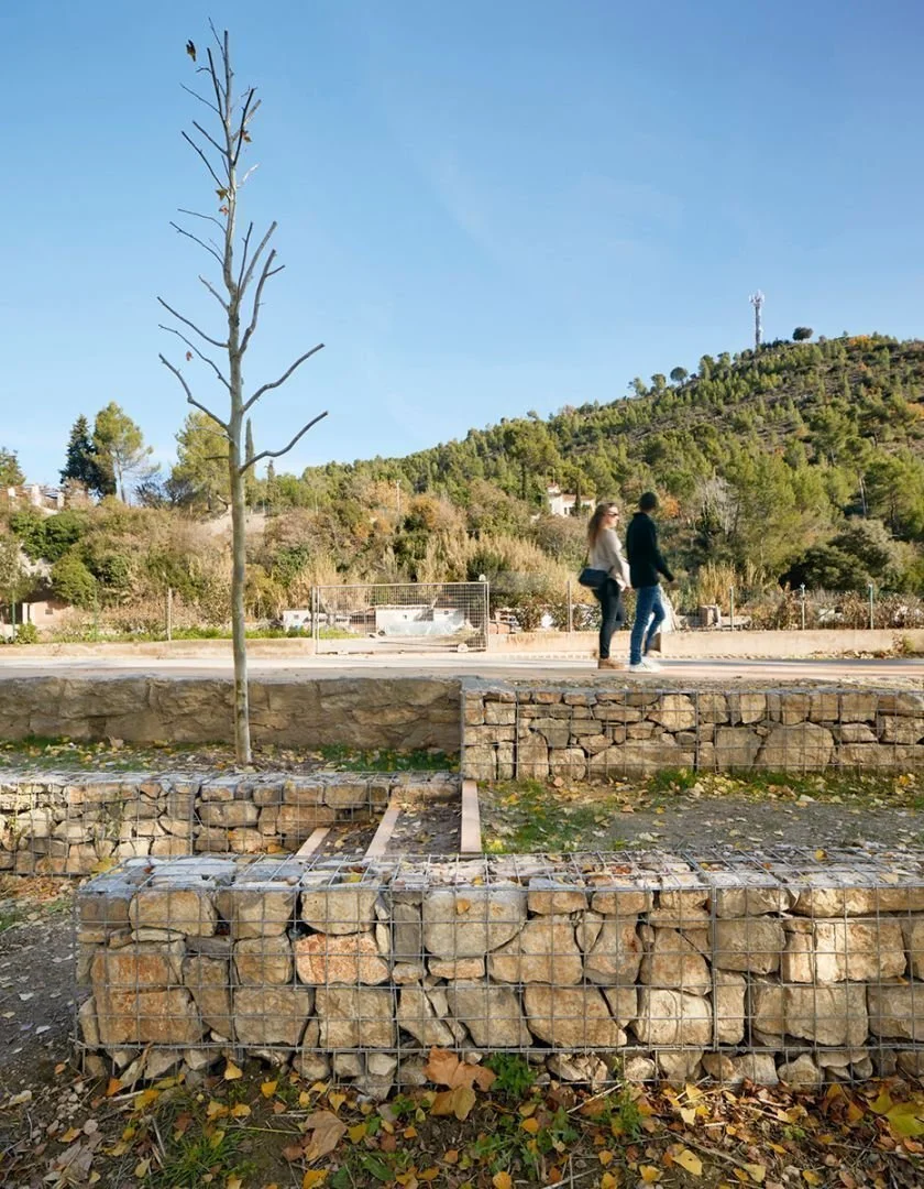 Análogo parque 2.jpg