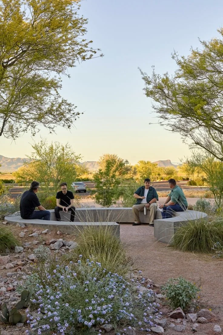 Análogo parque.jpg