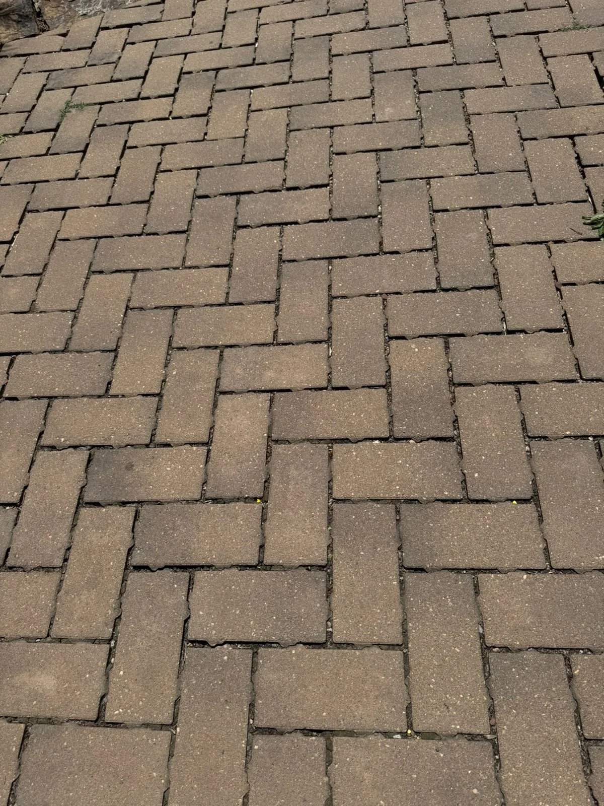 Piso Permeable 1.jpg