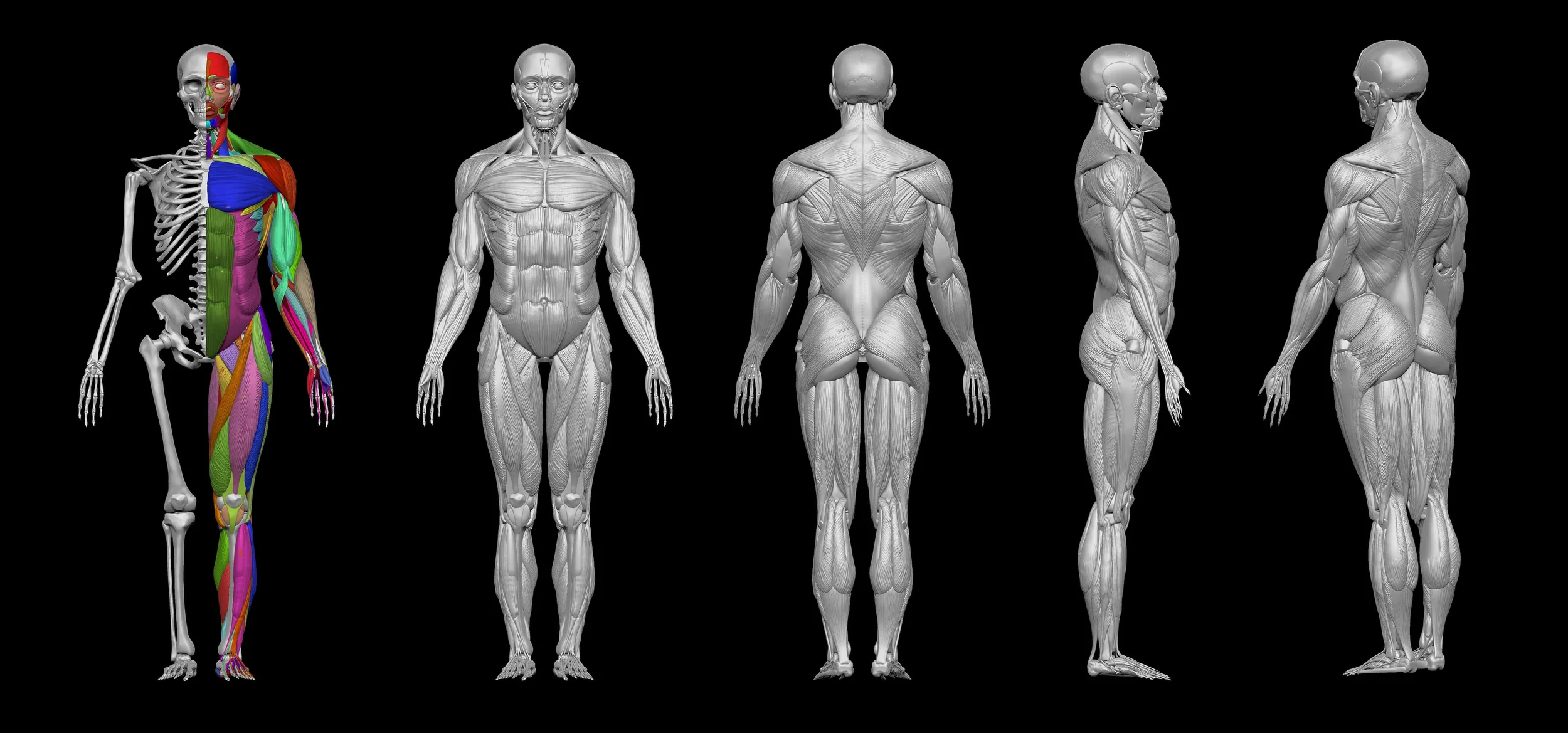 quality(80) (8).webp