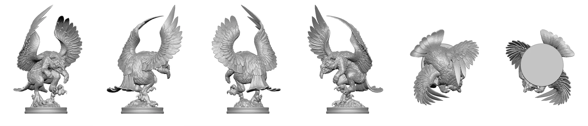 quality(80) (16).webp