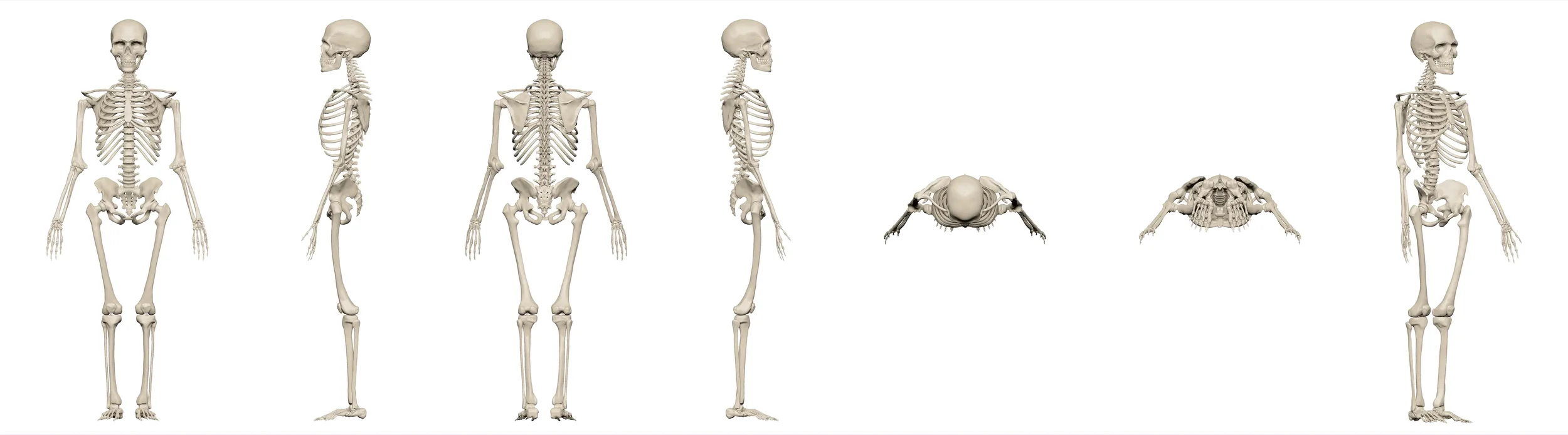 quality(80) (9).webp