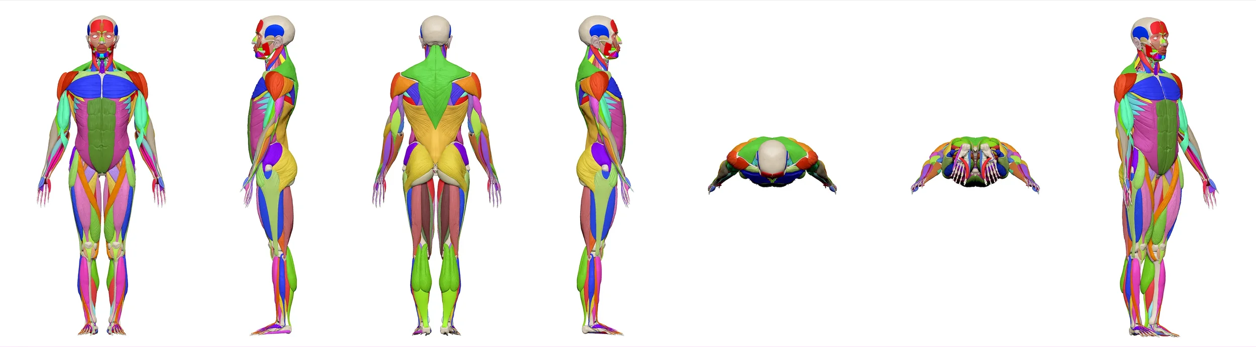 quality(80) (10).webp