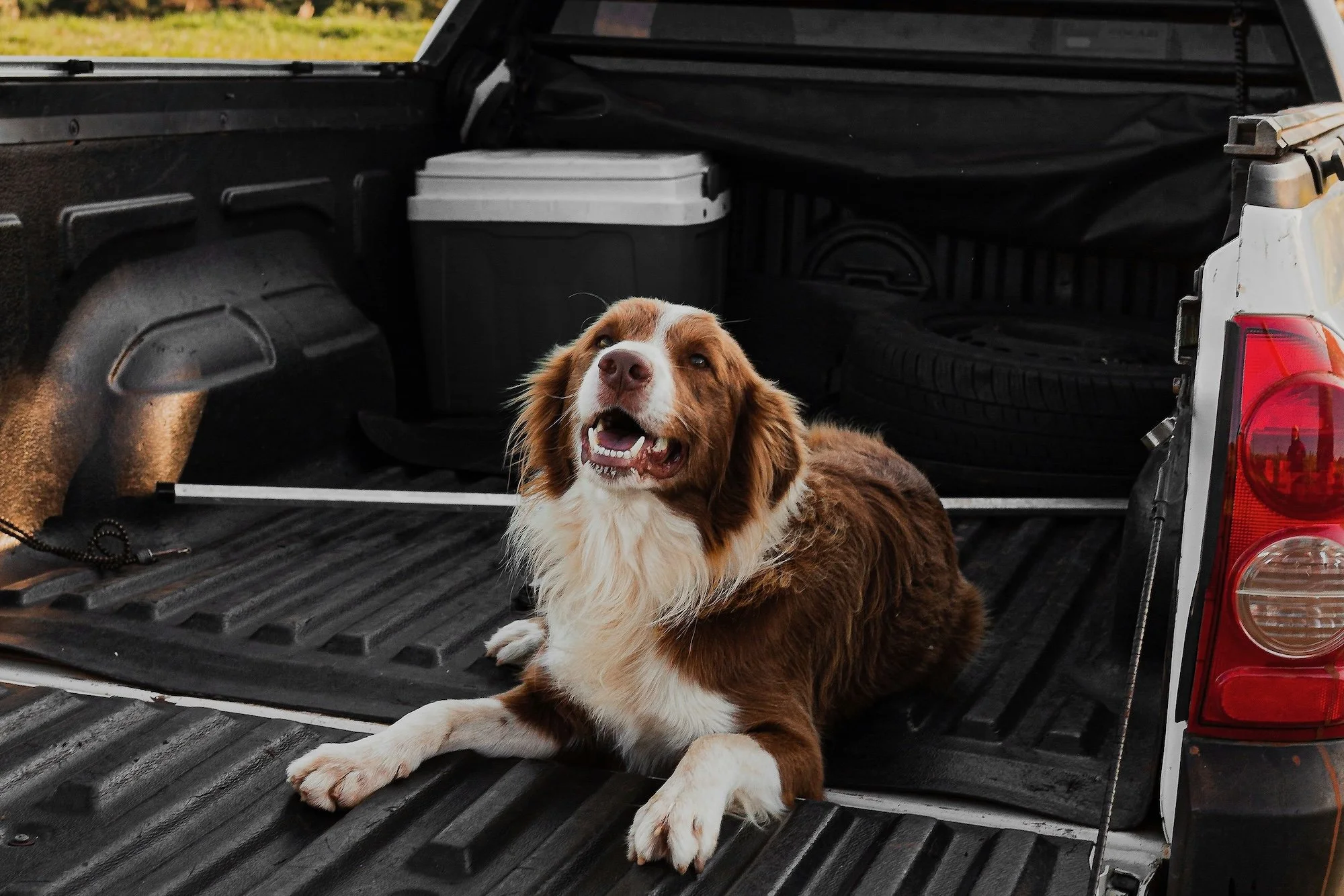 Tulsa Mobile Detailing Truck Bed Clean and Protect Detail