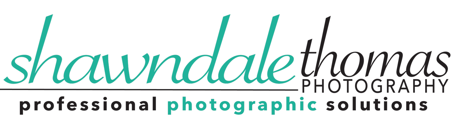 Shawndale Thomas | Digital Media Architect