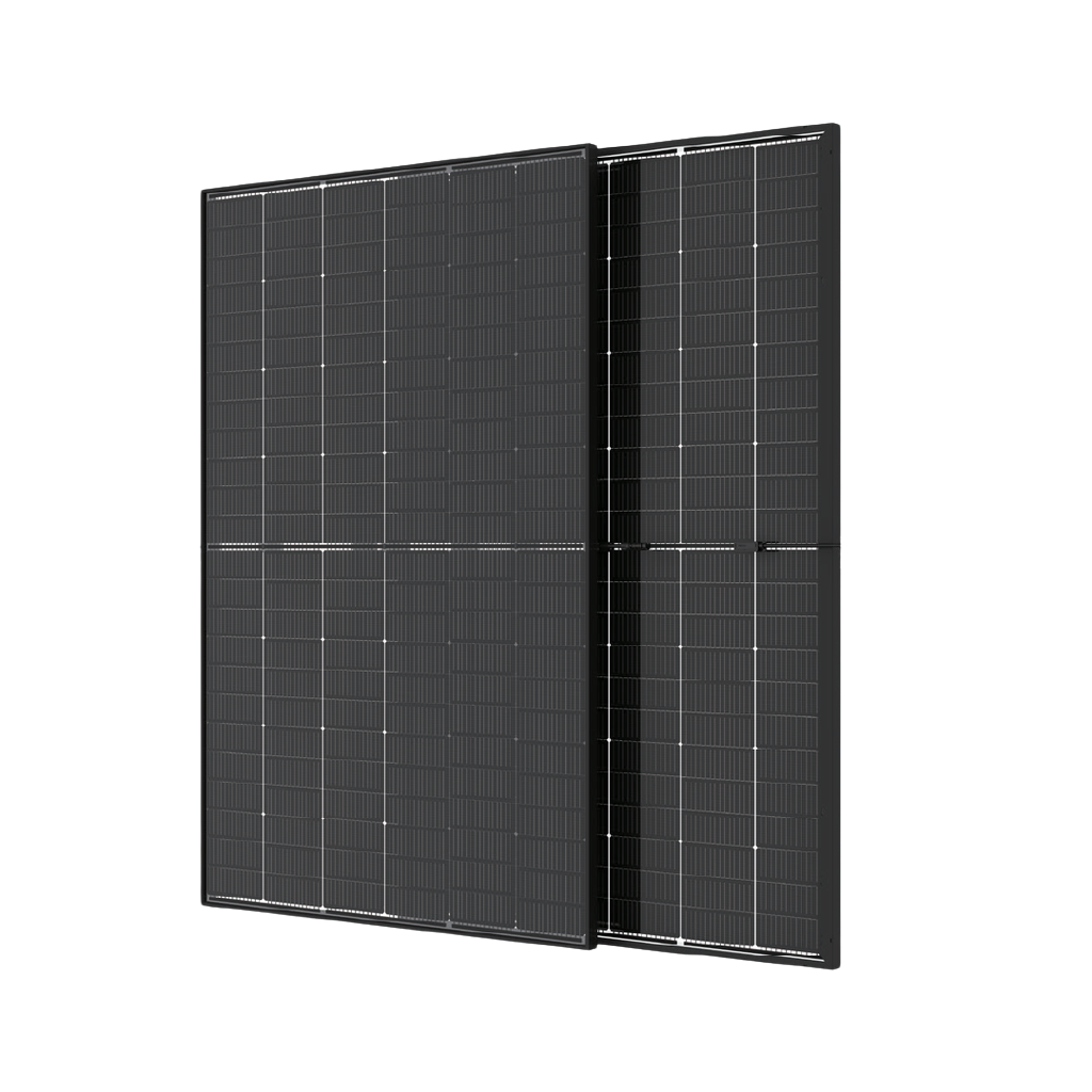 TRINA Solar Vertex S Dual Glass