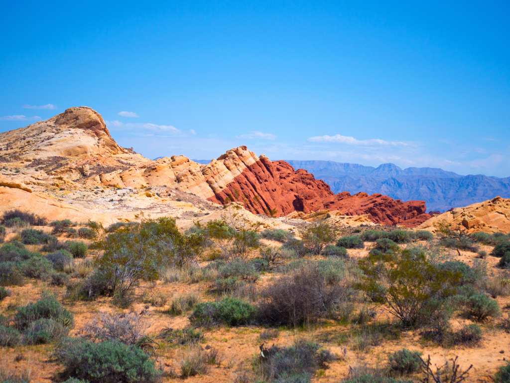 Desert landscape with colorful rock formations, sparse shrubs, and distant mountains under a blue sky.