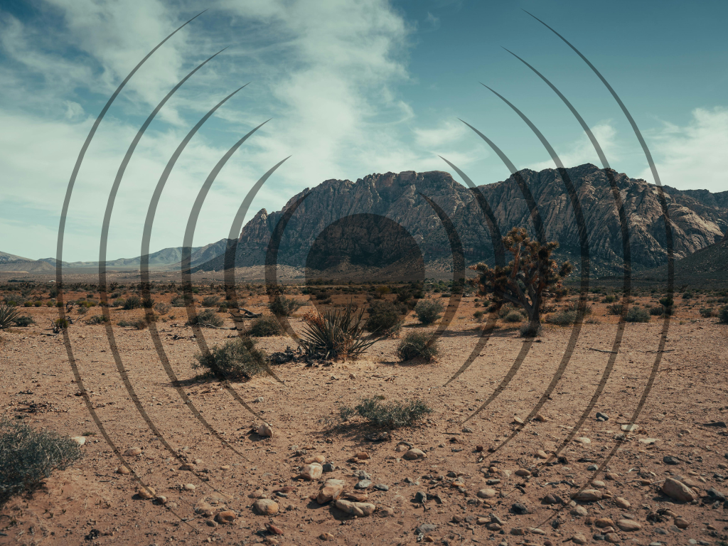 Desert landscape with sparse bushes and a large rocky mountain in the background under a cloudy sky.