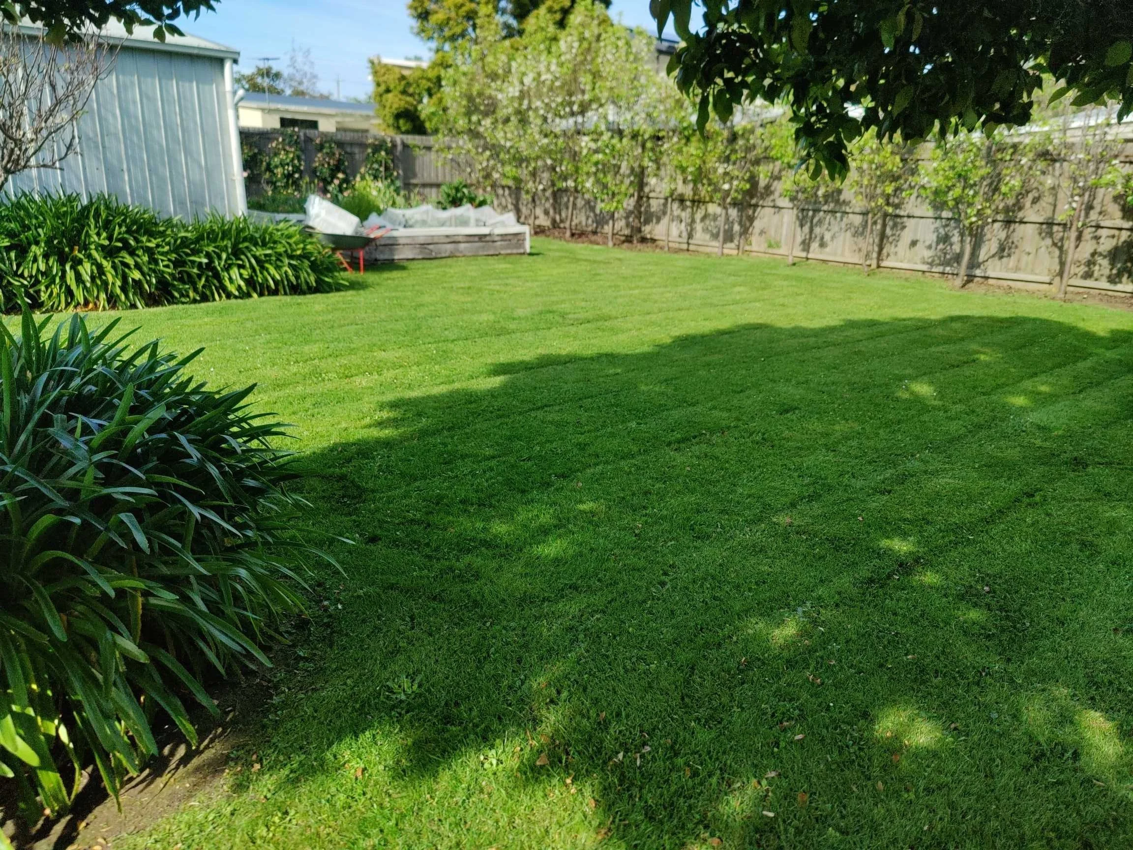 image000000(139).jpg