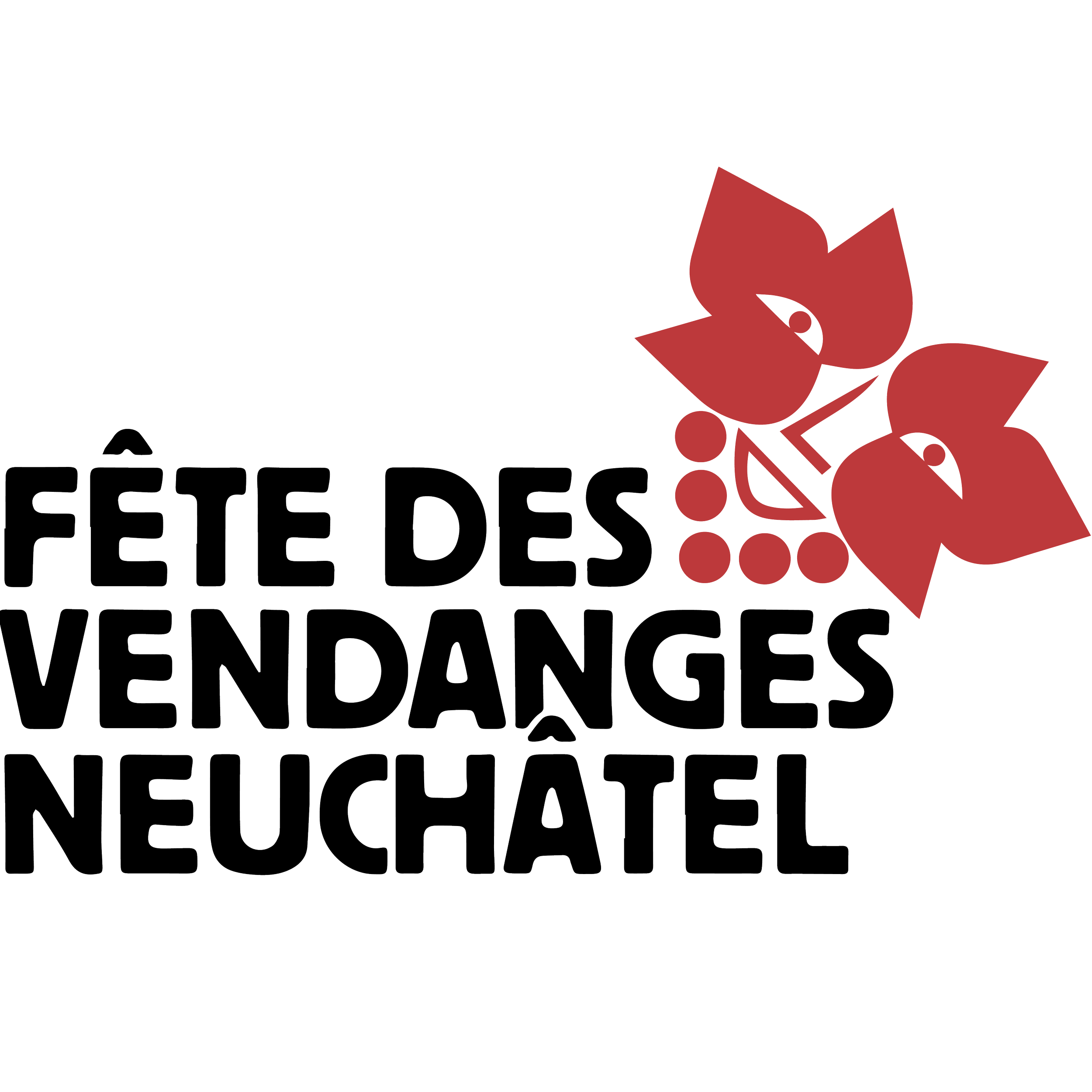 FDV_logo_noir_1.png
