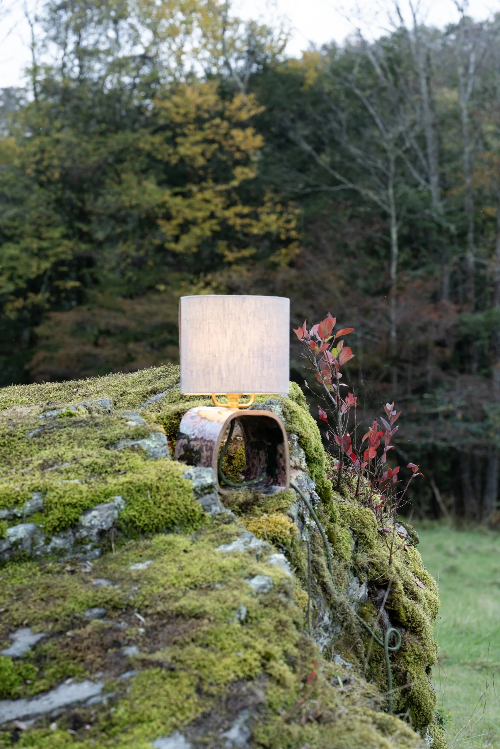 Rose Pine — Small Loop