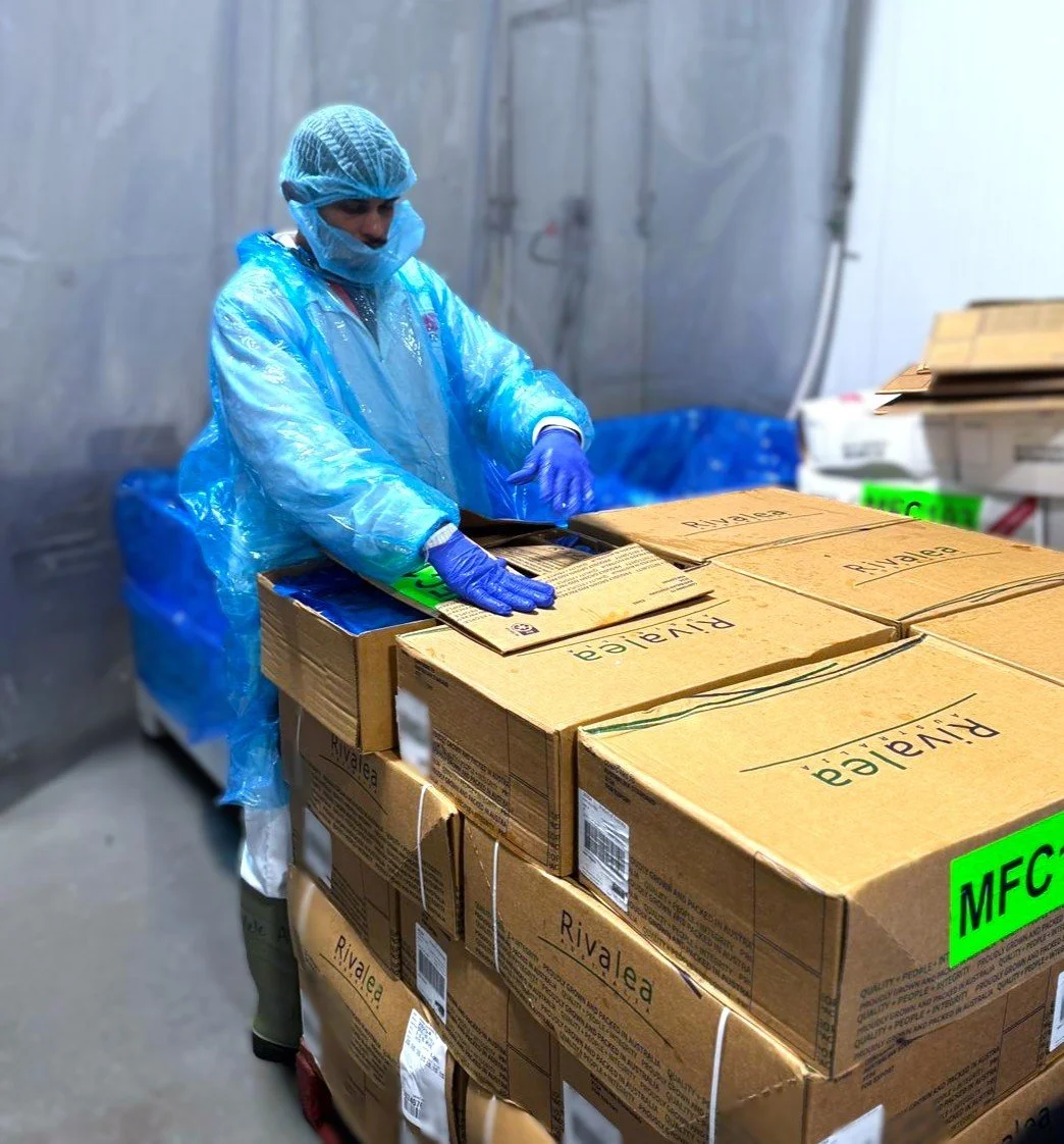 A worker wearing a blue protective suit, gloves, and a hairnet handling boxes labeled 'Rivaleá' in a storage or packaging area.