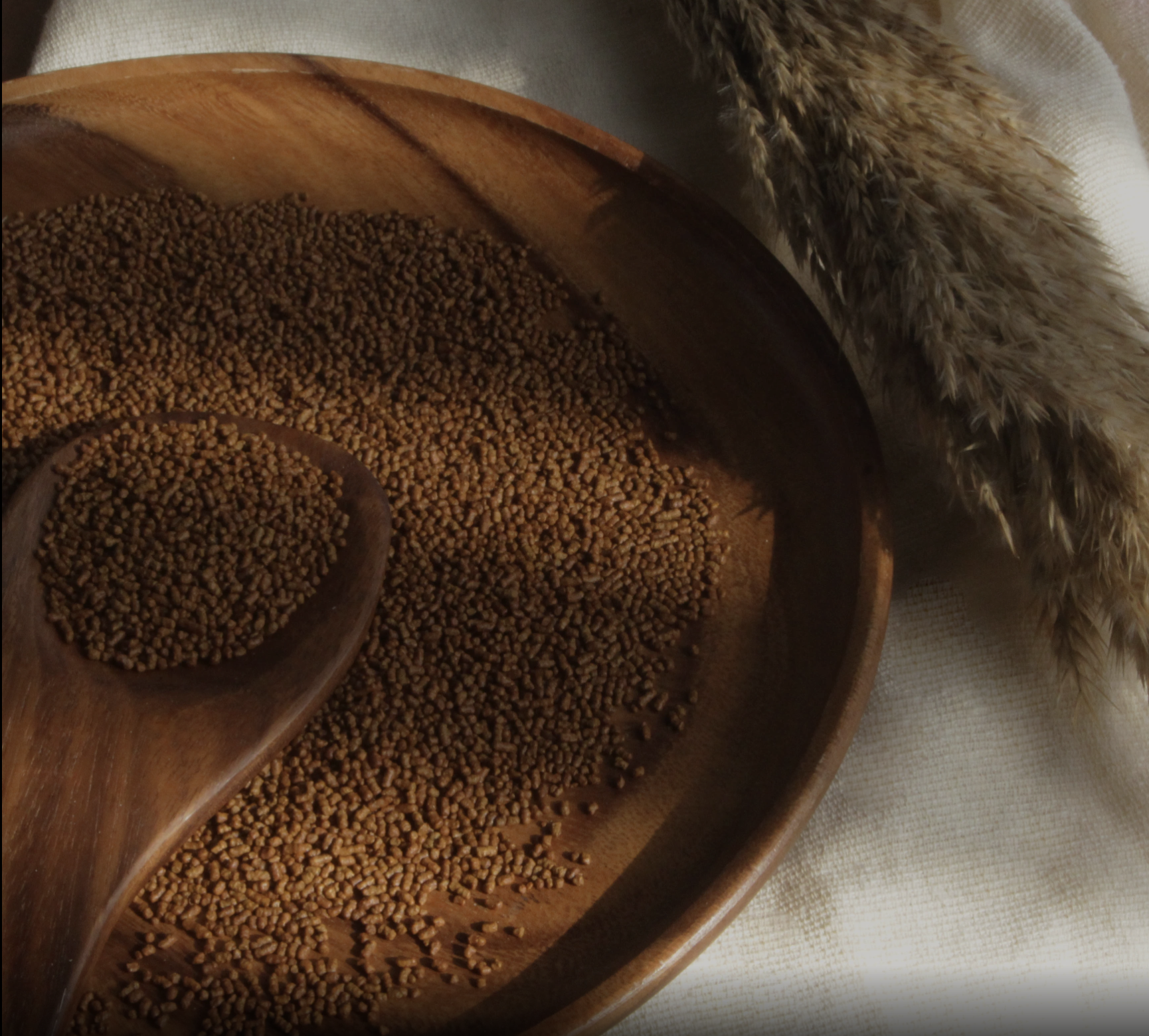 Screenshot 2025-12-08 at 5.58.54 PM.png