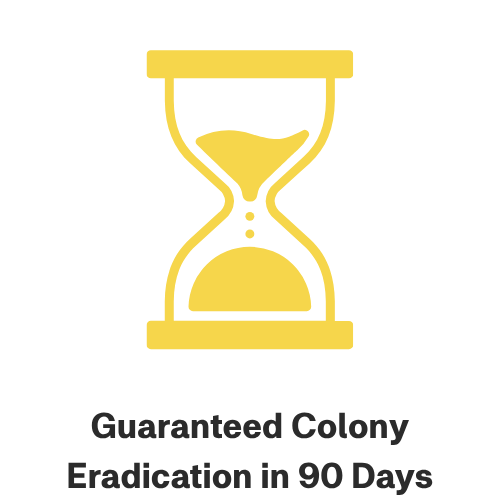 Yellow hourglass icon with text "Guaranteed Colony Eradication in 90 Days" below.