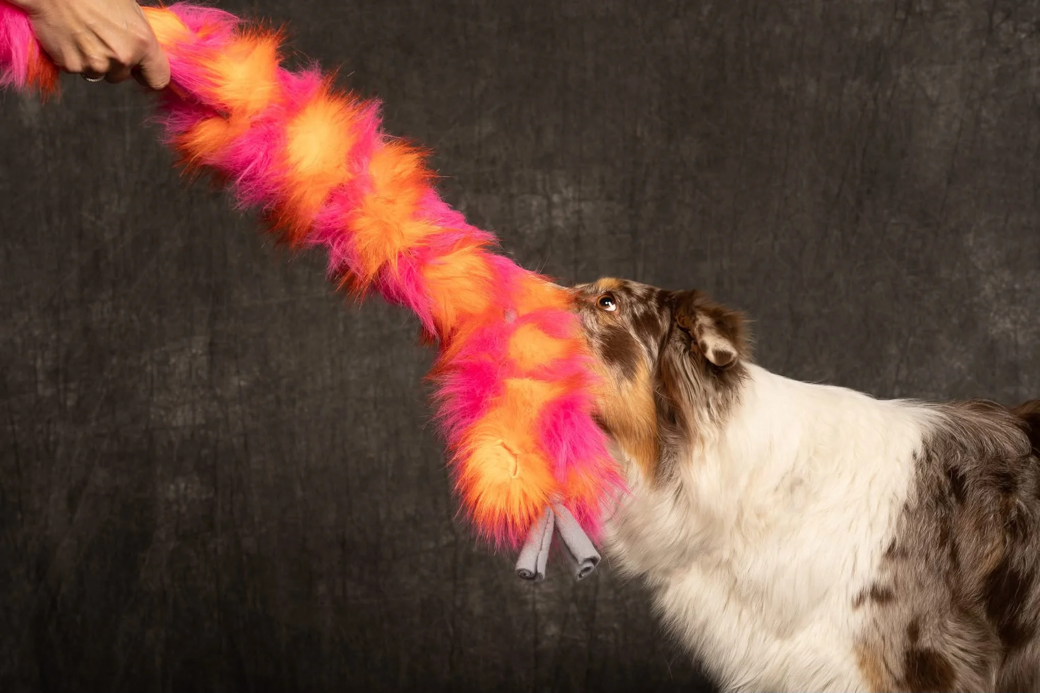 IMG_0766 2.jpeg (Copy)