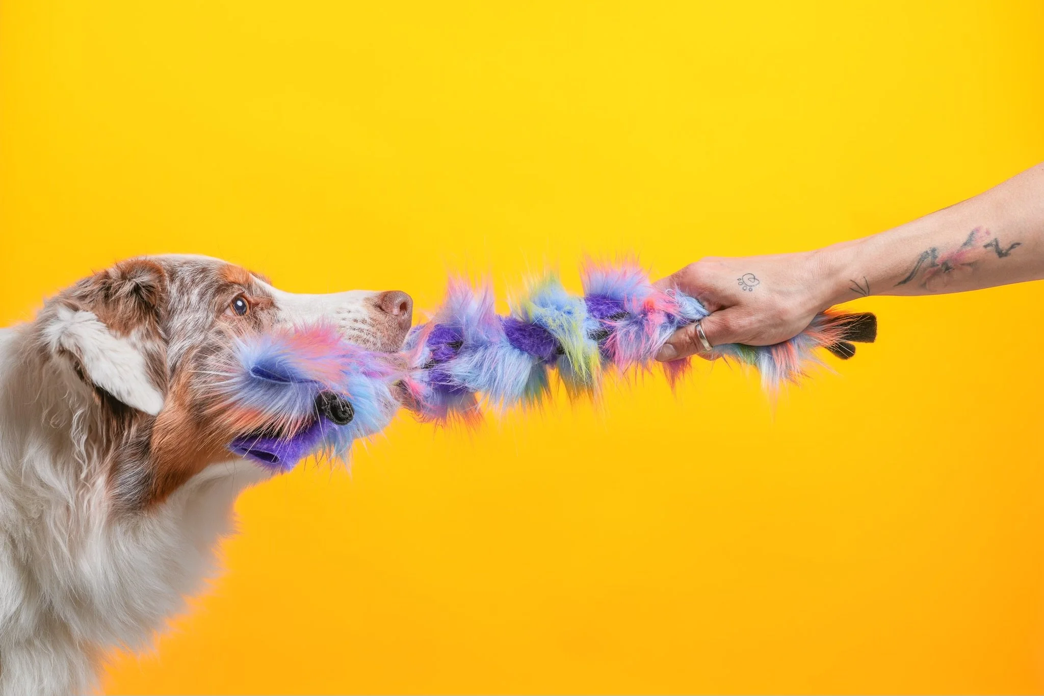 BZ_04265_fb.jpeg (Copy)