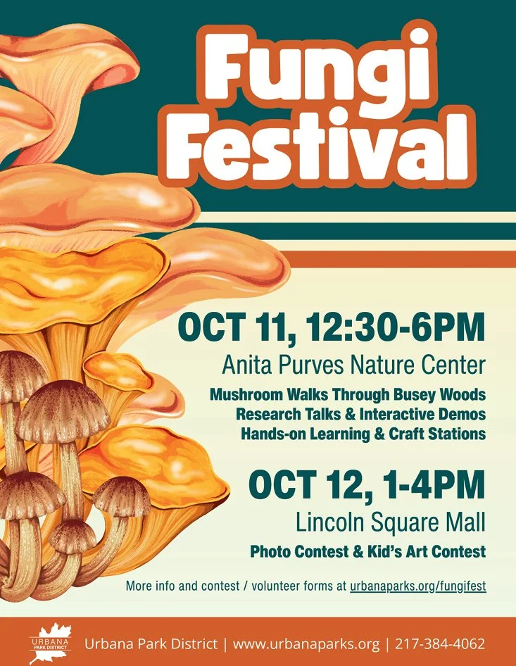 Fungi Festival