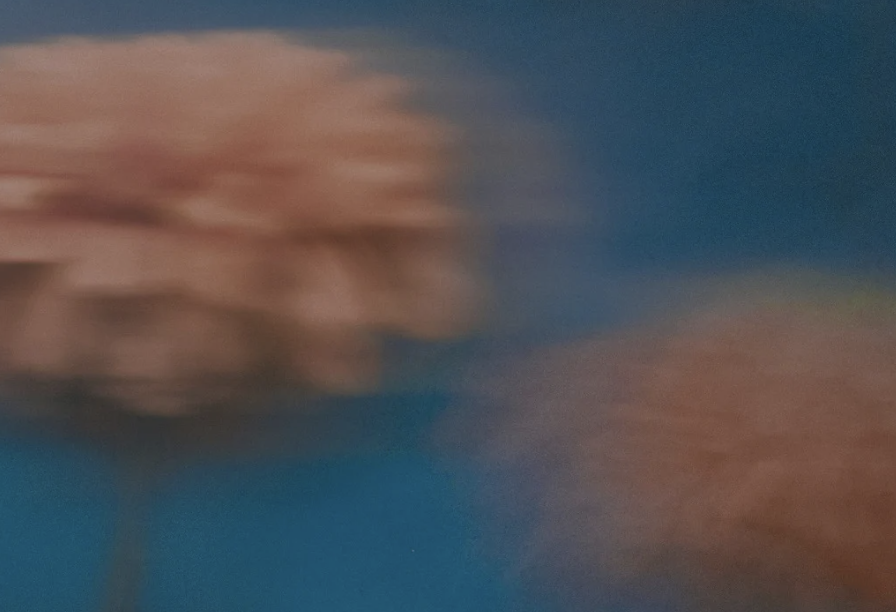 A winding wooden pathway through grassy terrain with mountains in the background, some snow on the peaks, a river beside the path, under a cloudy sky.