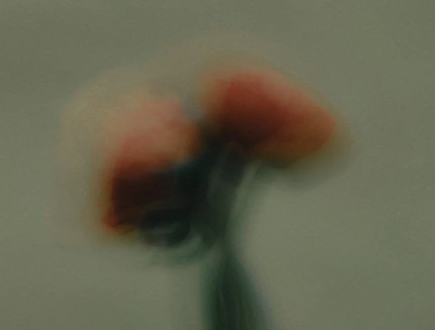 Scenic landscape with a large lake, rolling grassy hills, and rugged mountains in the background under an overcast sky.