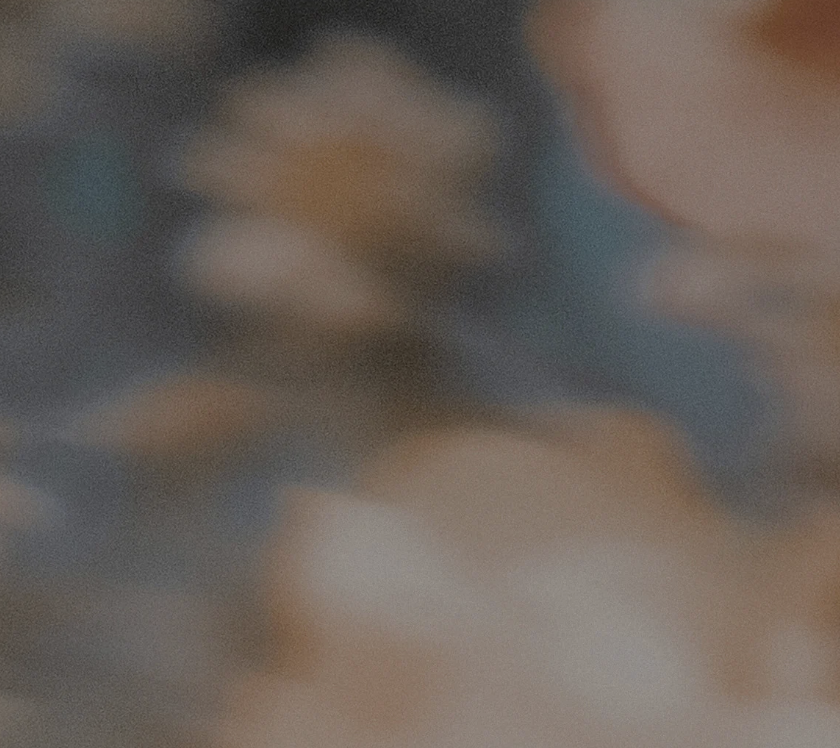 Mountain range with layers of forested hills, some fog or mist, and a cloudy sky.