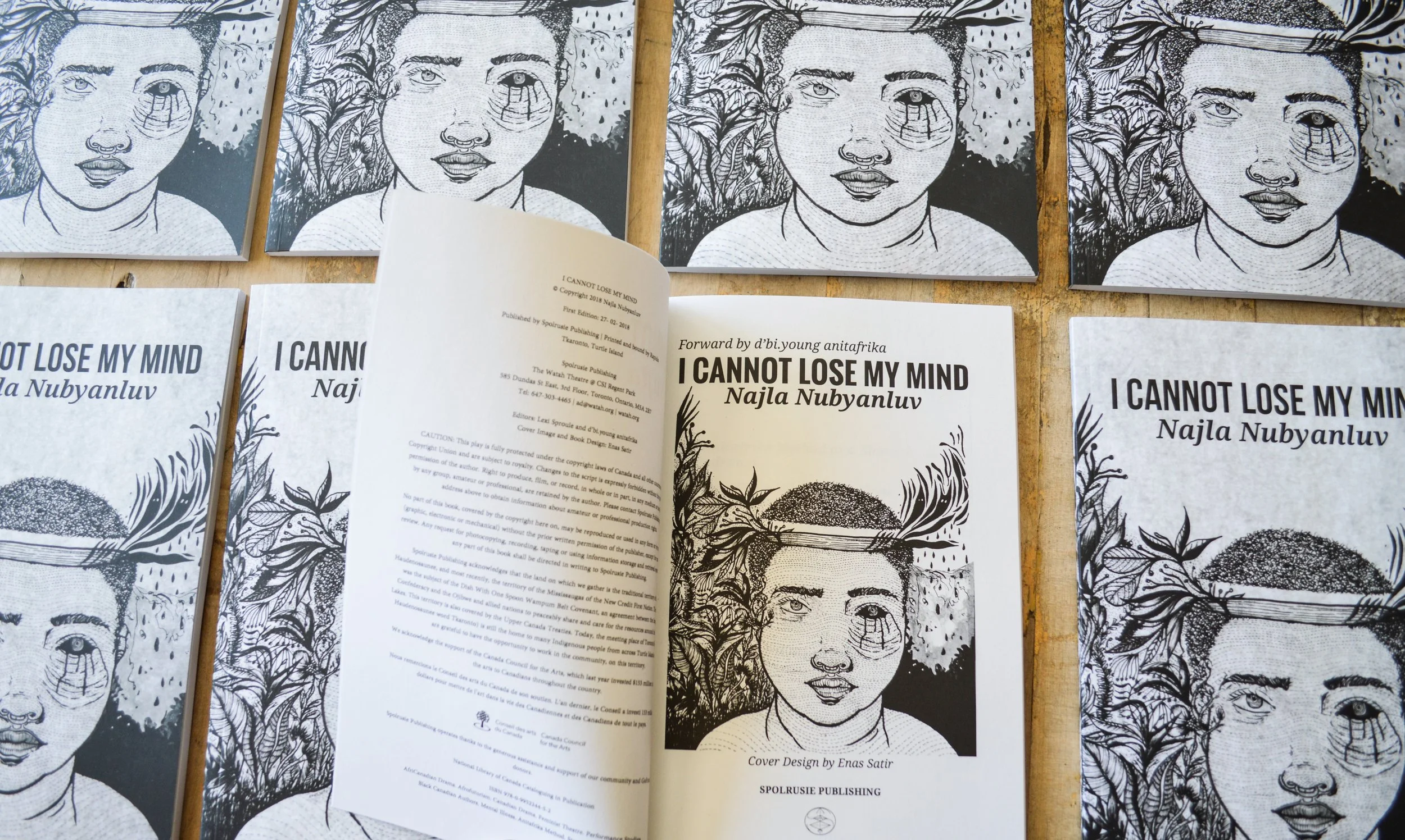 Book Design & Cover Illustration