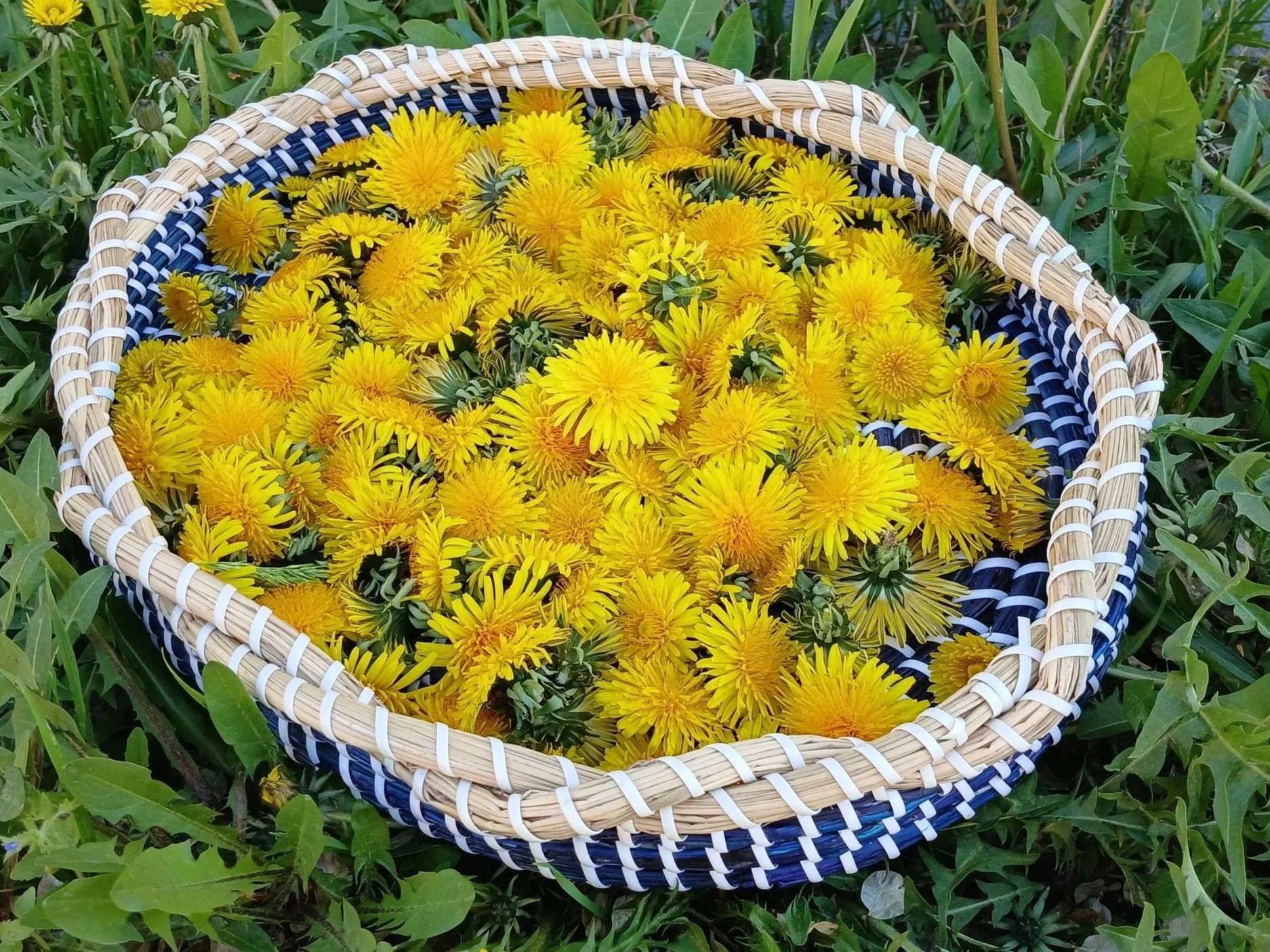 More than a childhood prank