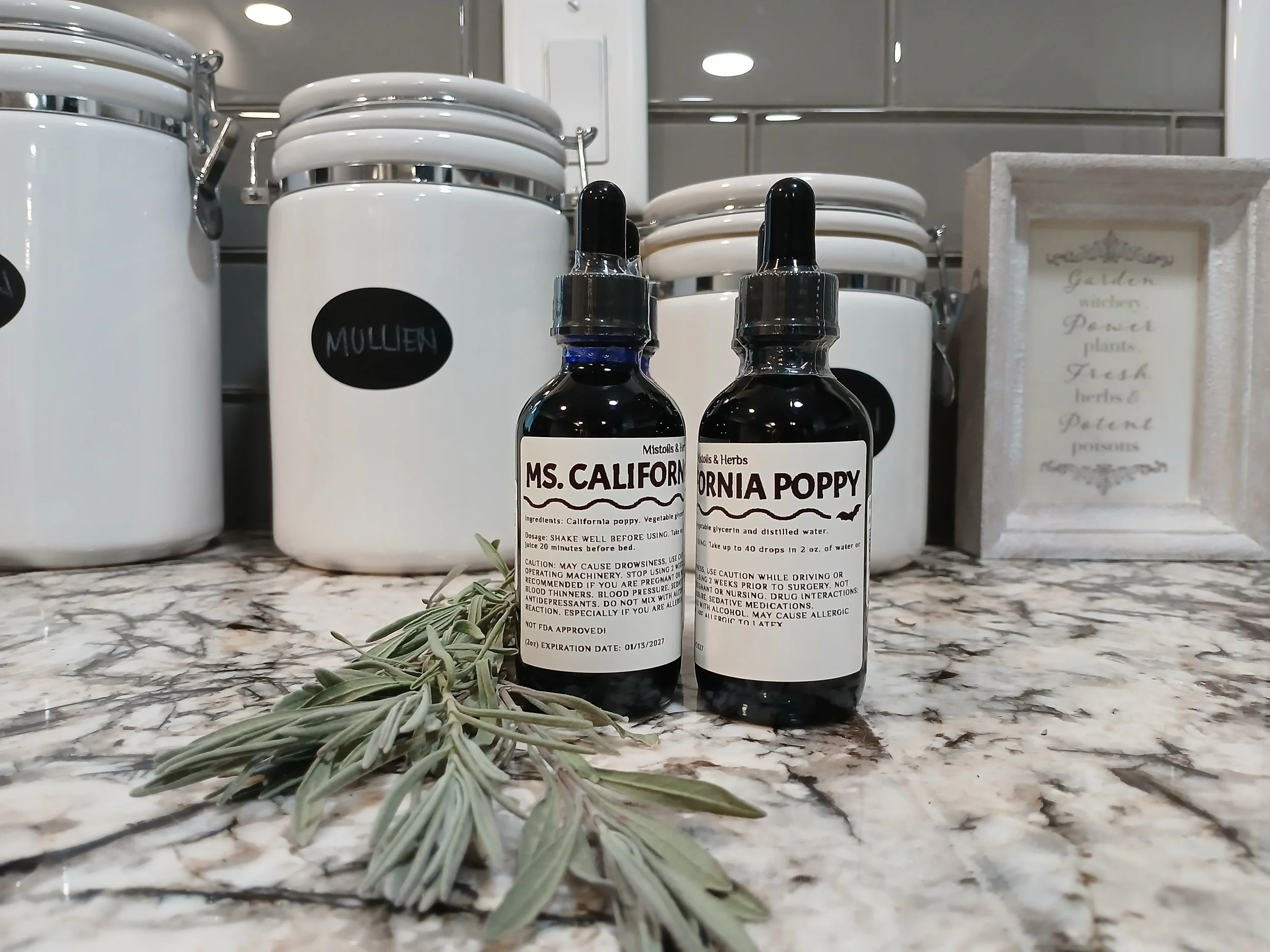 MS. CALIFORNIA POPPY