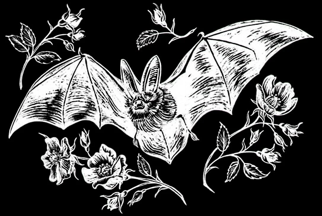 Mistoils &amp; Herbs