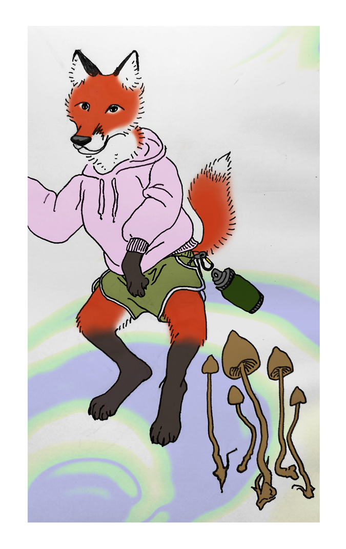 fox jumping, 2023