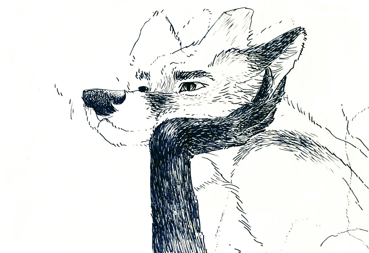 "ahead worries" felt tip pen, 2014