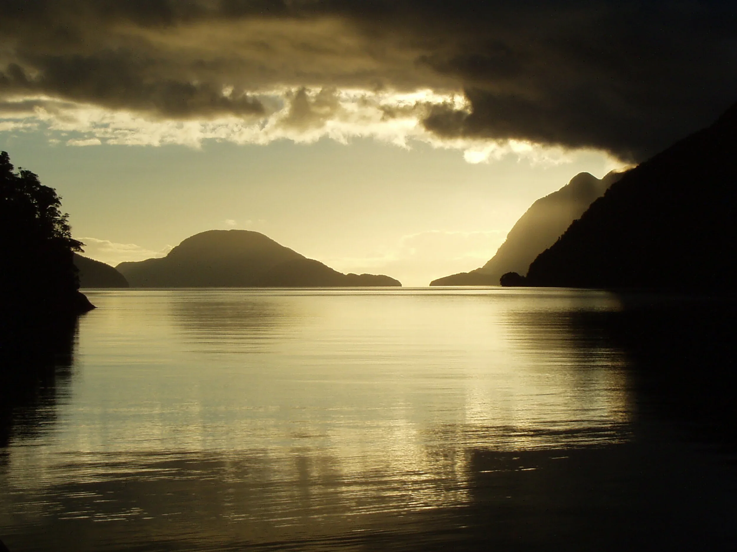 Fiordland Expeditions