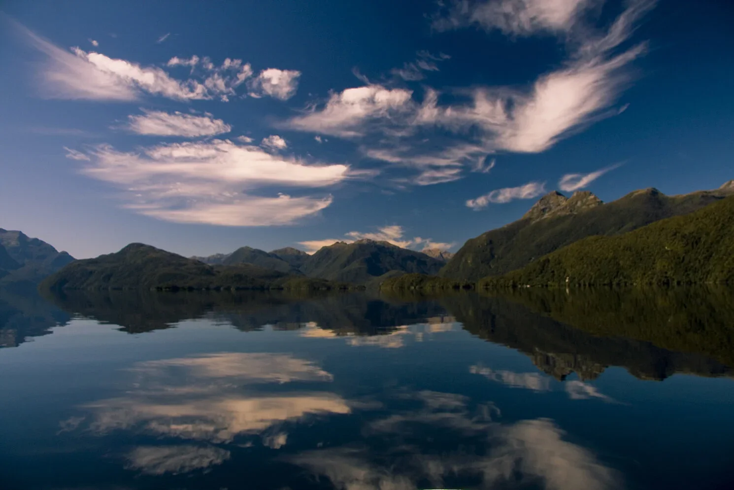 Fiordland Expeditions