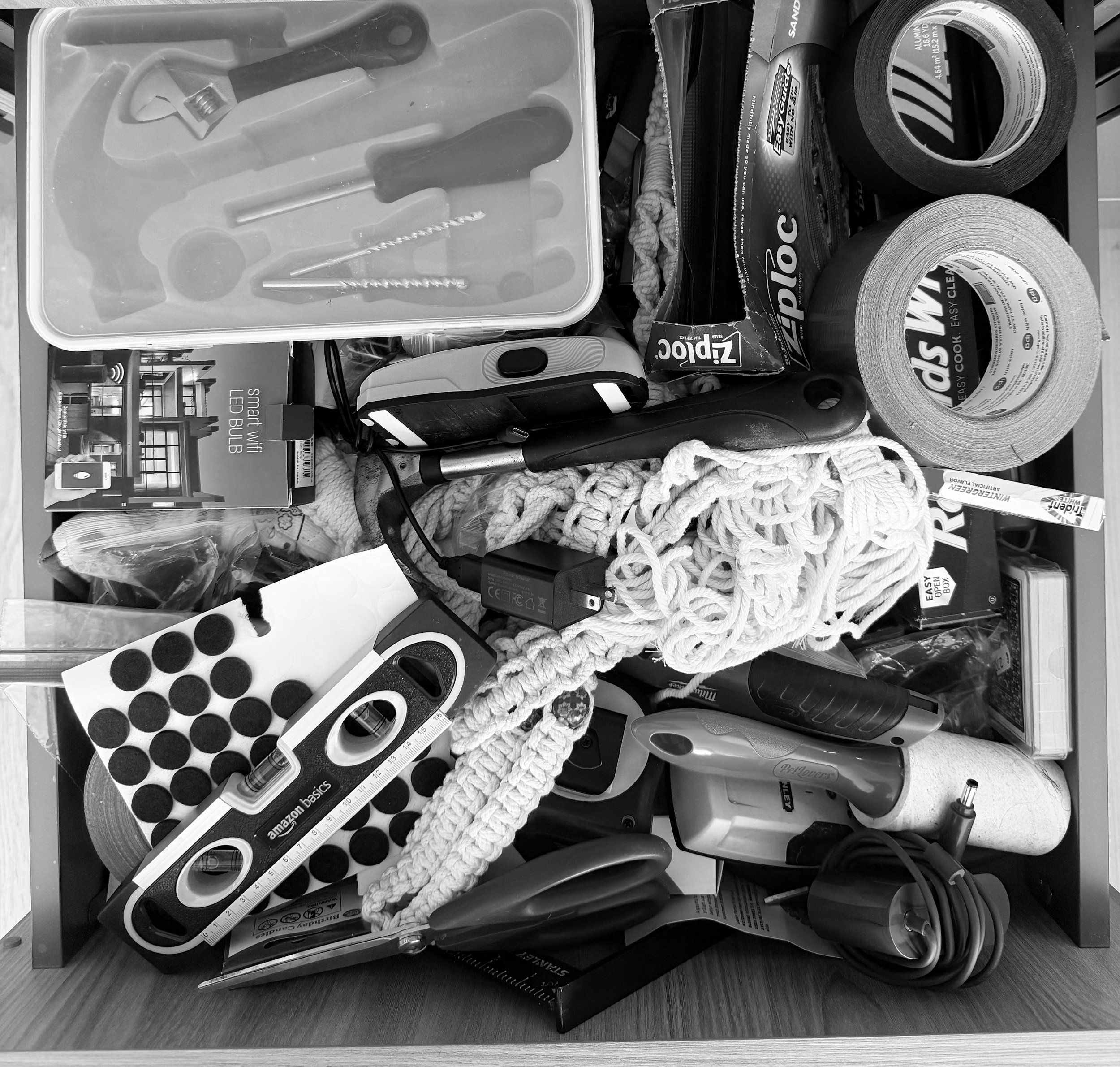 Forrest  Brooklyn, NYC 2026