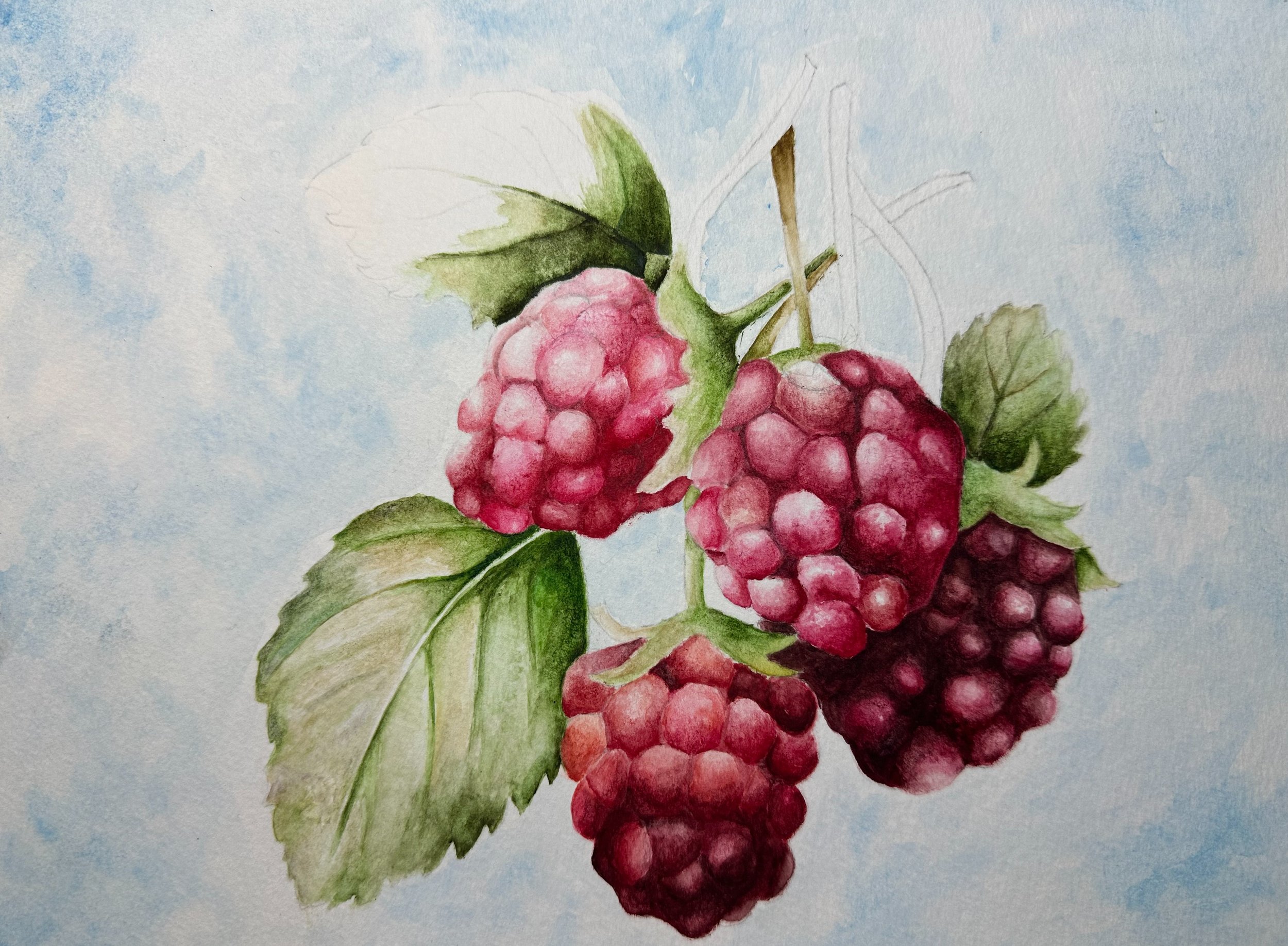 Photo Dec 19 2024, 6 34 56 PM.jpg