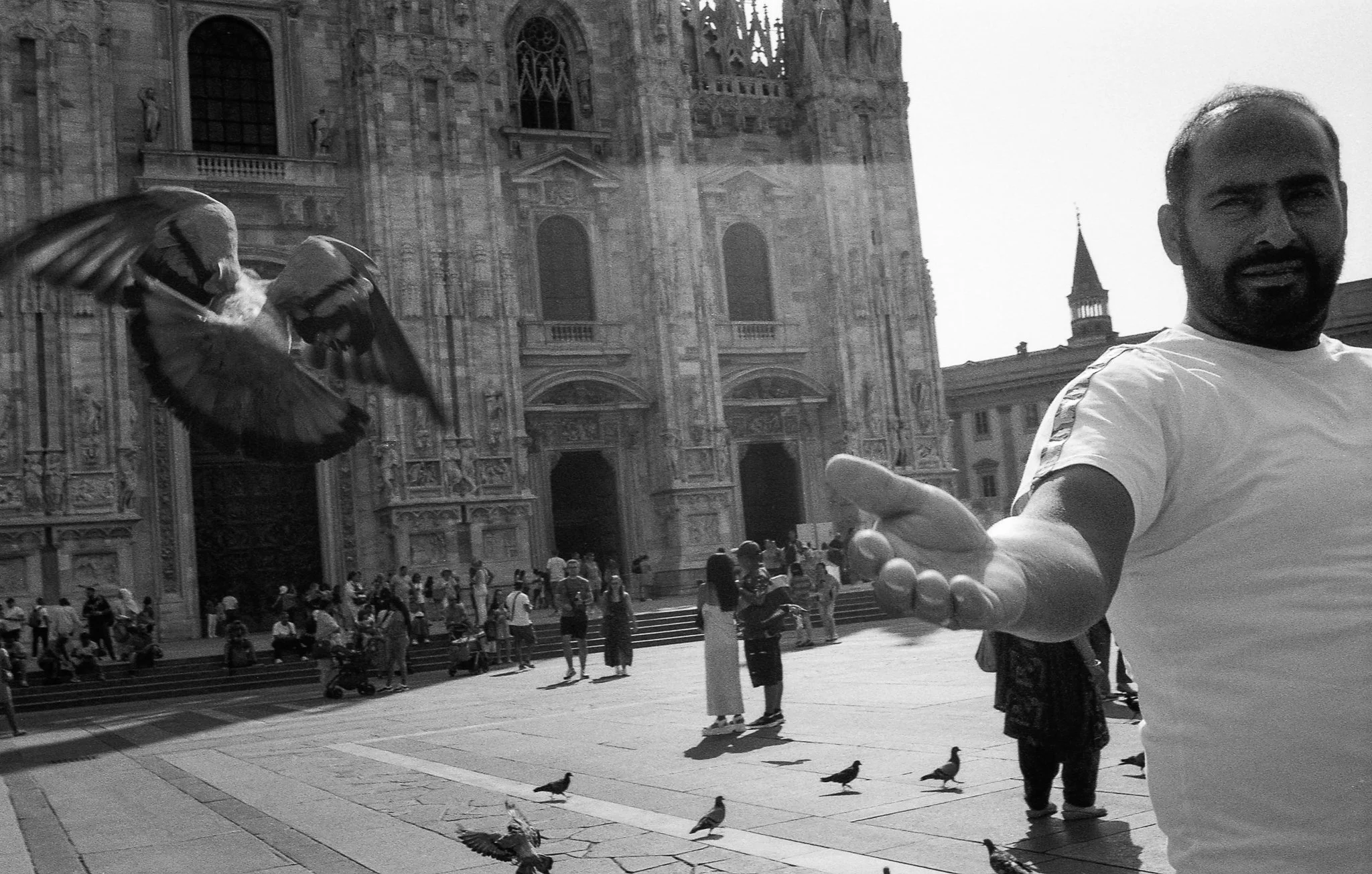 9.24 Milan HP5008.jpg