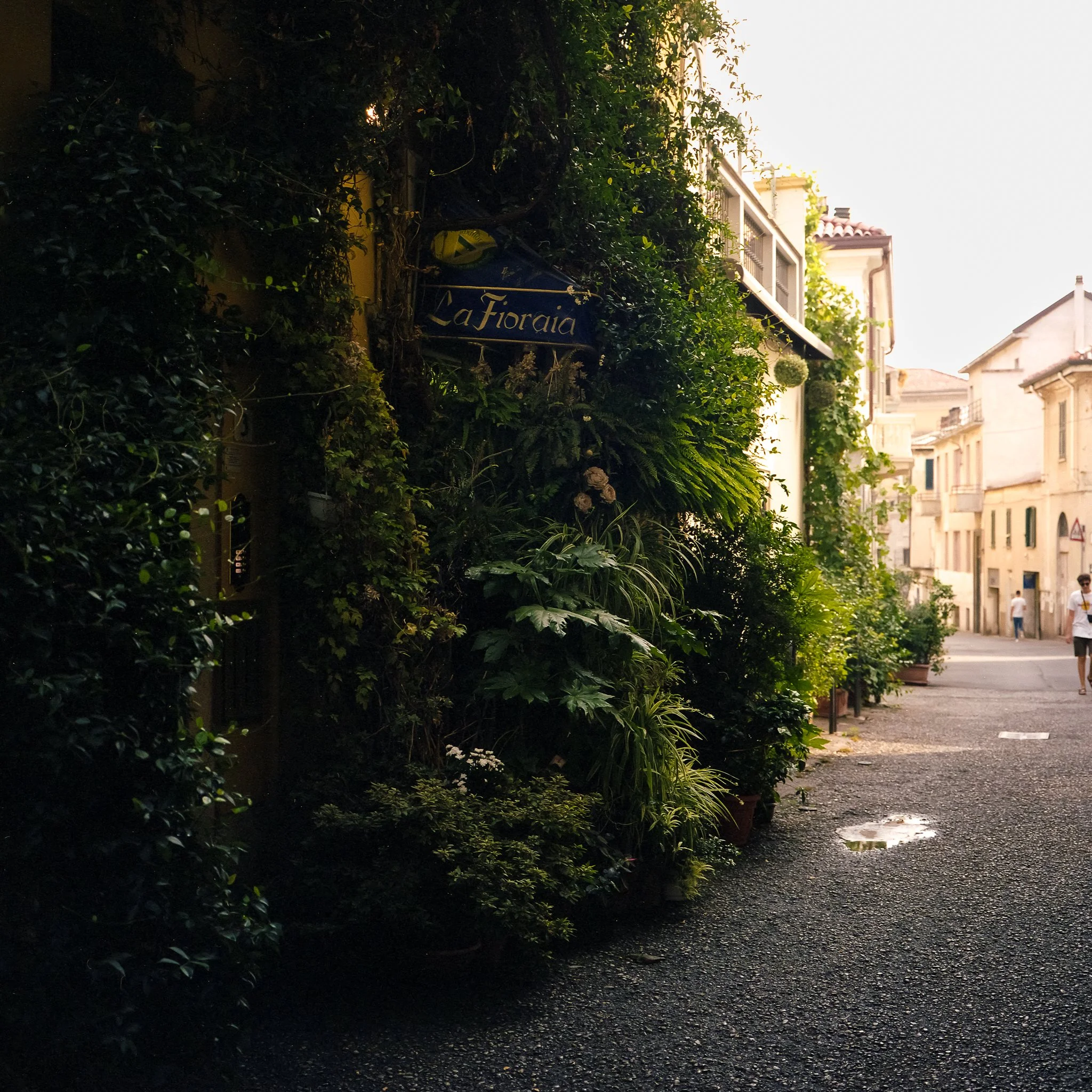 9.24 Monza Portra Mam602.jpg