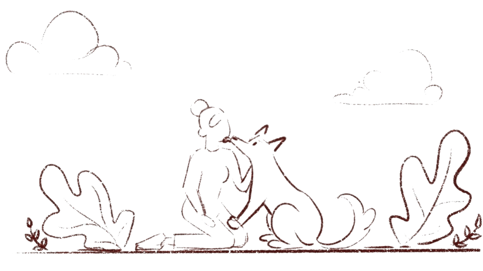 PETspot - Motion Graphics Visual Development