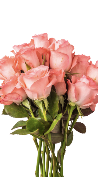 Tooele County Valentine's Flowers