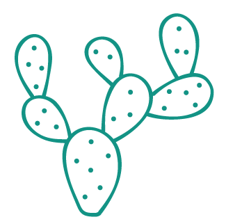 Illustration of a cactus with multiple paddles, each with small dots representing spines.