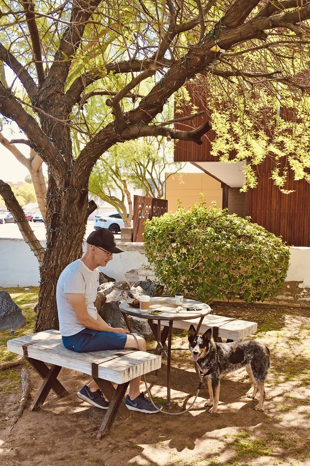 A man in a white shirt, blue shorts, and a black cap sitting on a wooden bench under a tree in an outdoor setting, with a black and white dog on a leash beside him. There are coffee cups and a phone on a small table next to him.