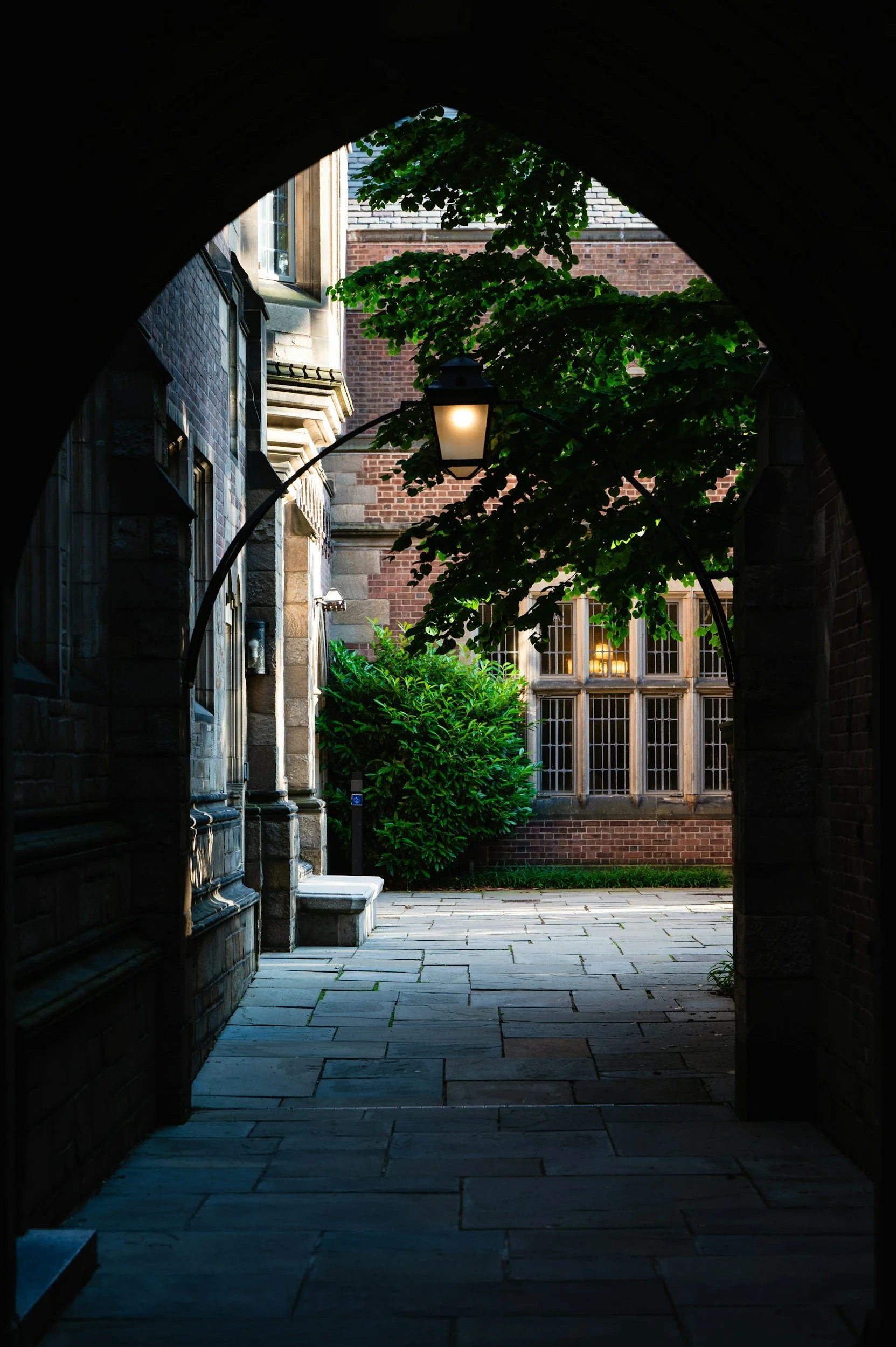 FIELD NOTES #003: Why New Haven?