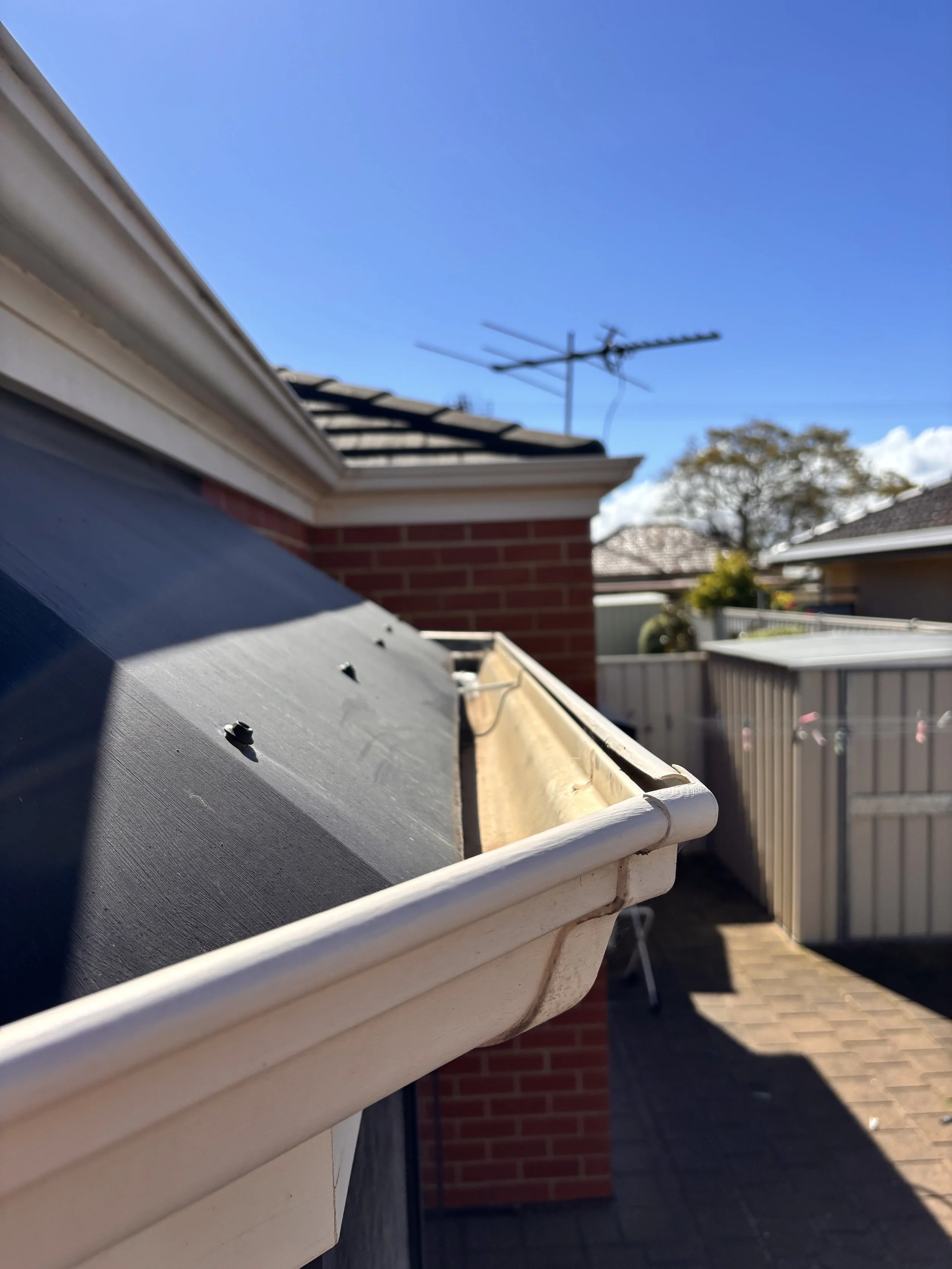 Gutter Clean