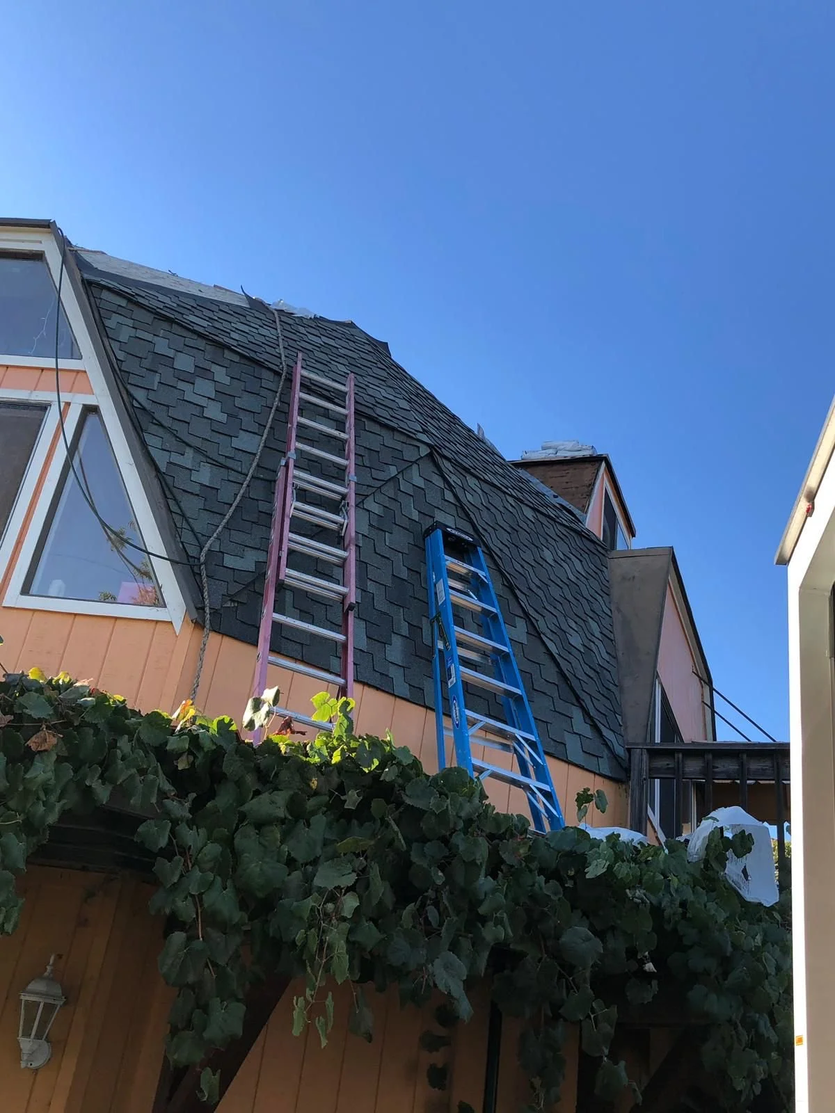 Ladders leaning against a house under construction or repair, with a clear blue sky above and greenery in the foreground.