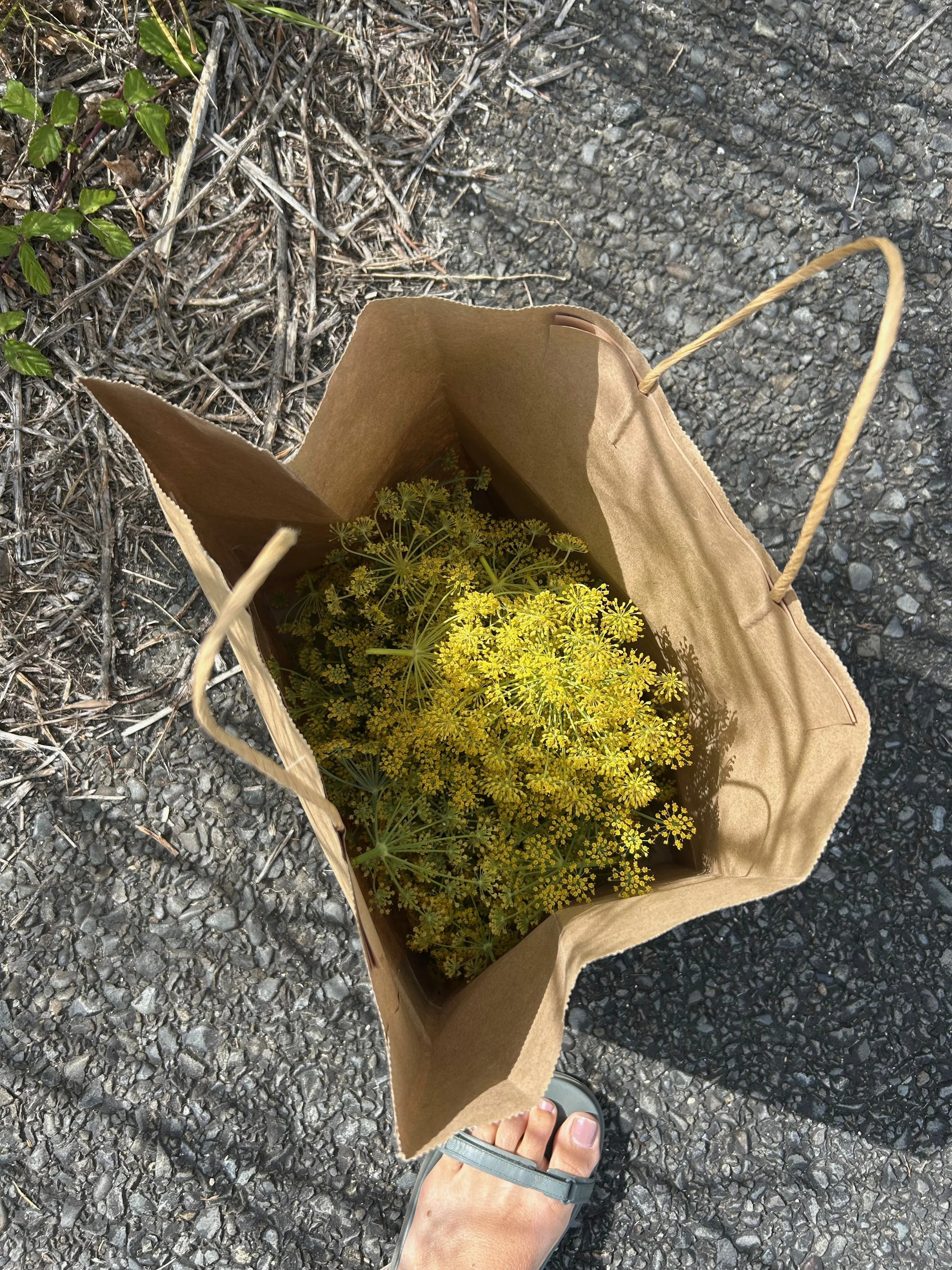 View of a paper shopping bag filled with yellow flowers, held by a person wearing a sandal on a paved surface.