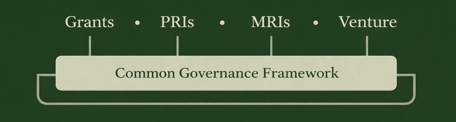 Diagram of a common governance framework with categories grants, PRIs, MRIs, and venture listed above a rectangular block labeled 'Common Governance Framework'.