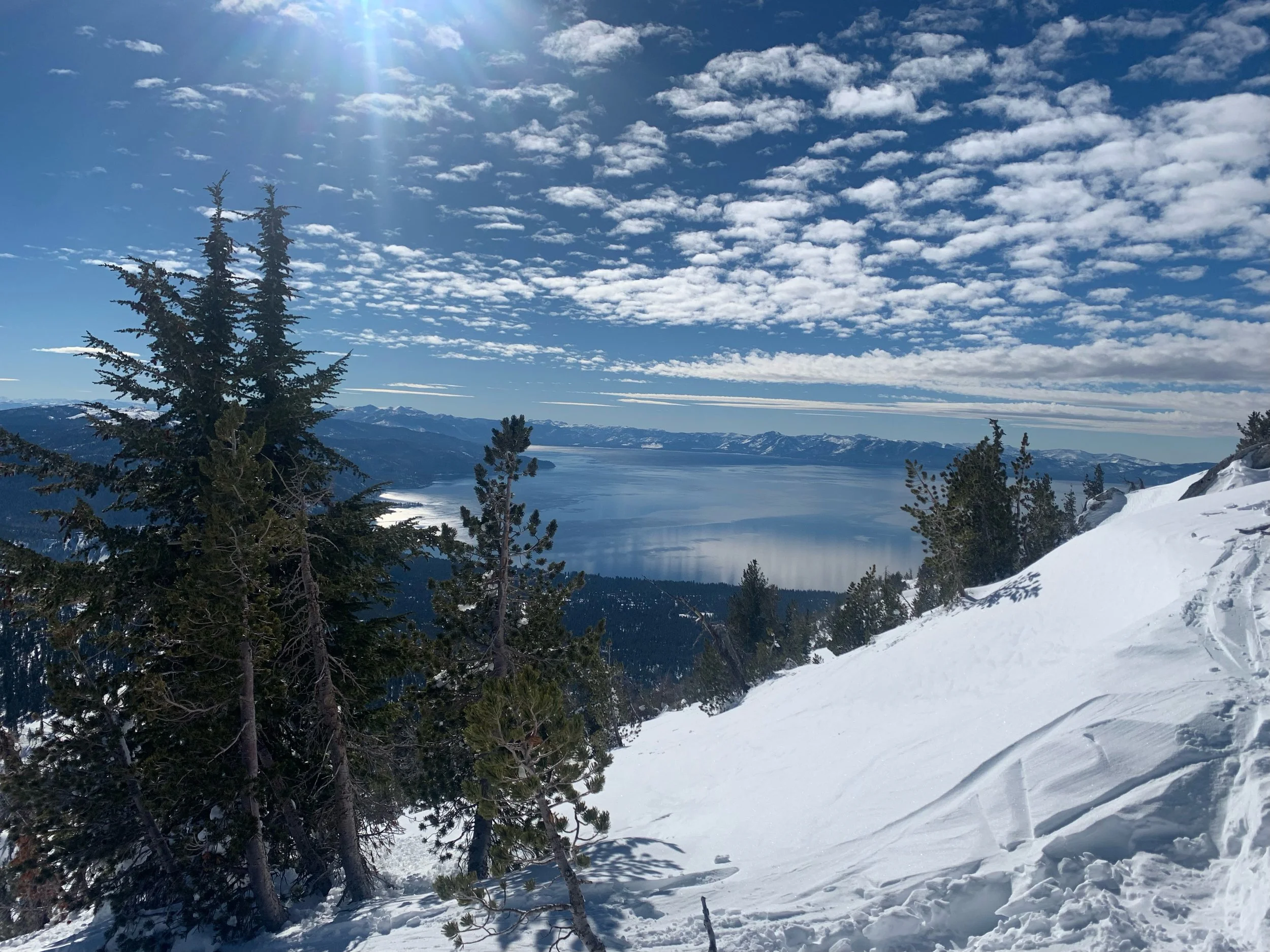 2025 Letter from the Director